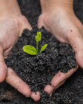 Soil Fertility